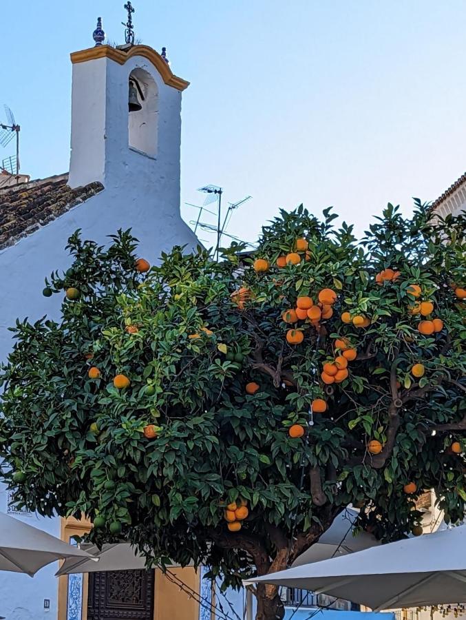 Marbella - Playa Alicate 2Br Holiday Apartment エクステリア 写真